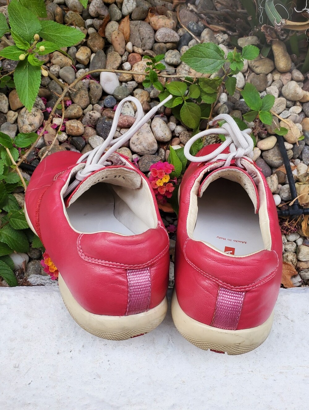 Prada Shoes - Picture 2 of 5